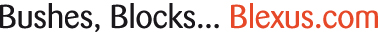 Blexus
